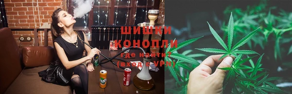 сатива Алексеевка