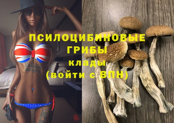 сатива Алексеевка