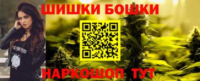 стафф Шелехов