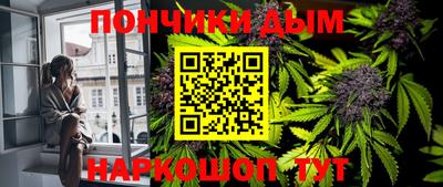 стафф Шелехов