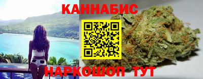 стафф Шелехов