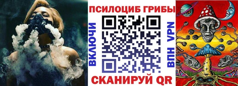 дарнет шоп  Алексин  Псилоцибиновые грибы Psilocybe 