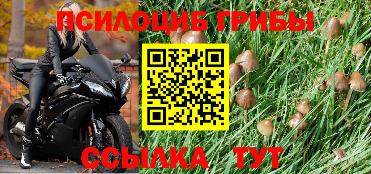 Галлюциногенные грибы MAGIC MUSHROOMS  Вход с VPN  Галлюциногенные грибы Psilocybine cubensis  Алексин 