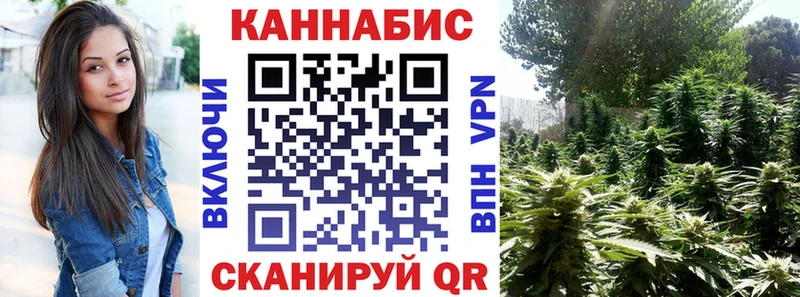 где продают наркотики  Алексин  Шишки марихуана гибрид 