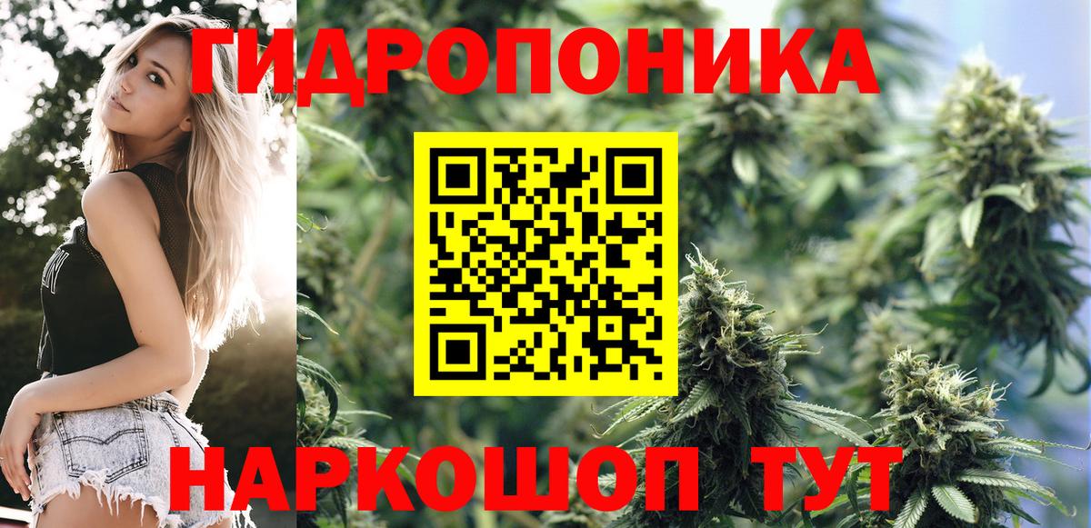 Конопля семена  Вход с VPN  Алексин  Канабис марихуана  Шишки марихуана Ganja 